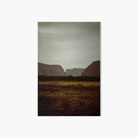 Western Brook Fjord Art Board Print