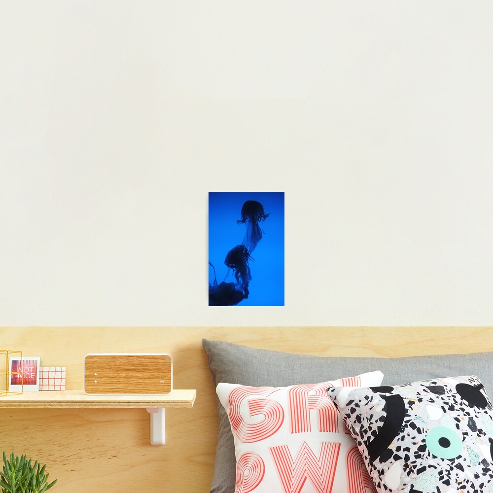 Item preview, Photographic Print designed and sold by ritesideup.