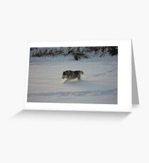 This is the life Greeting Card