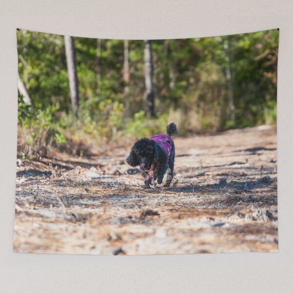 Item preview, Queen of the Suburban jungle designed and sold by KensLensDesigns.