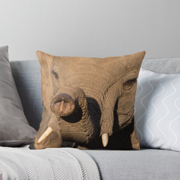 Item preview, The Trunk designed and sold by Michael Moss Photography.