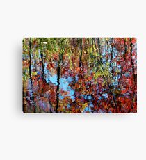 Reflections and Ripples Canvas Print