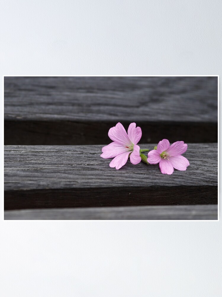 Thumbnail 1 of 3, Poster, Left designed and sold by GregWebb.