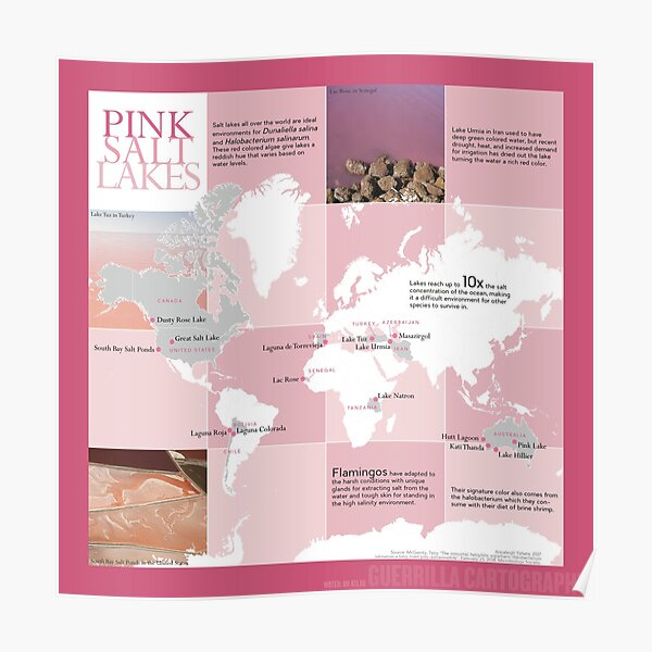 Pink Salt Lakes (light) Poster