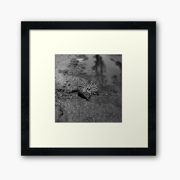 Cast Framed Art Print
