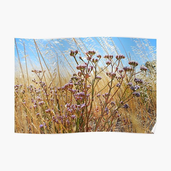 grassy Poster