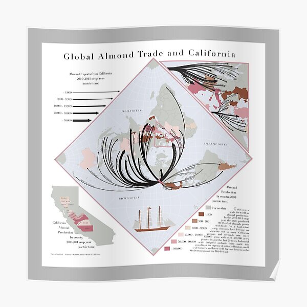 Global Almond Trade (grey) Poster