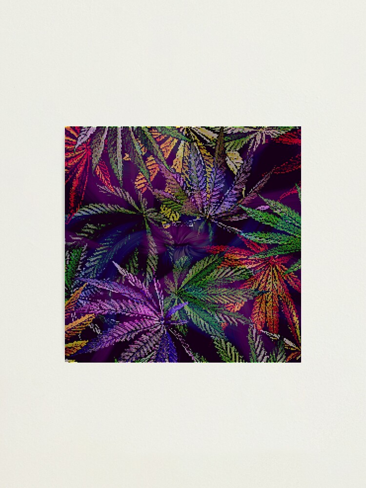 Alternate view of Psychedelic Marijuana Cannabis Leaves Photographic Print