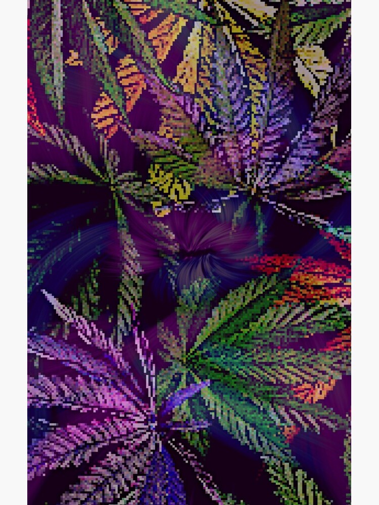 Psychedelic Marijuana Cannabis Leaves by xpressio
