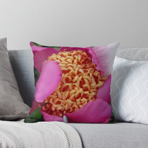 Item preview, Pink Peony IMG_7290 designed and sold by KarenDinan.