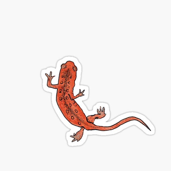 Item preview, Red Newt designed and sold by Emma Gagne.