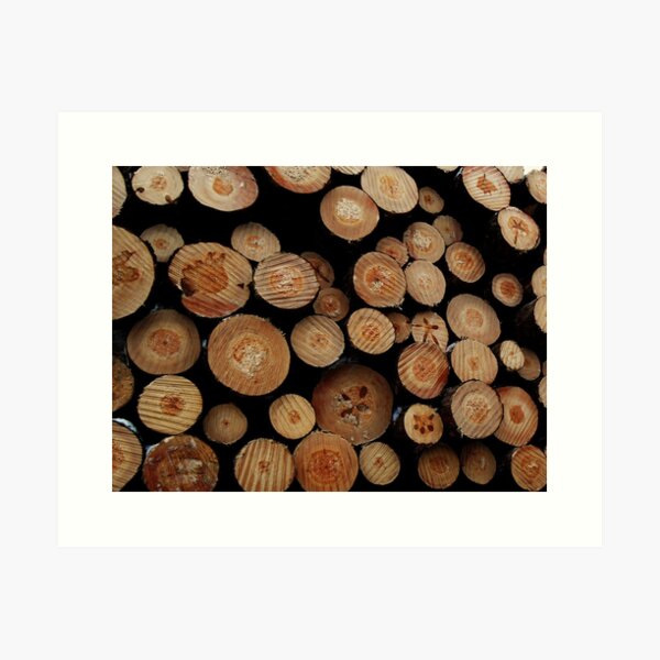 Trees-Logs-Paper Art Print
