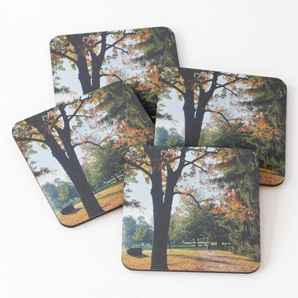 Item preview, Fall Walking Path in the Midwest designed and sold by Ella Saltzman.