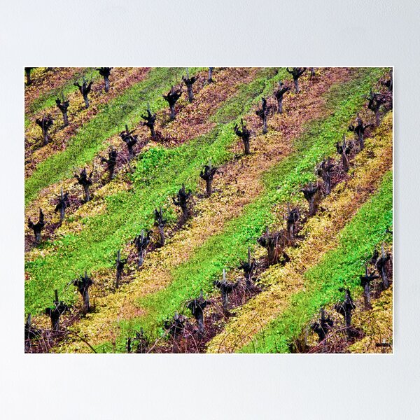Item preview, colors of calistoga designed and sold by Bruce  Dickson.