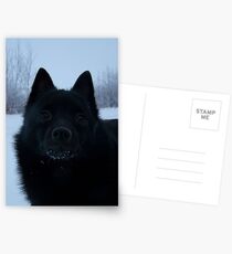 Walking in a Winter Wonderland Postcards