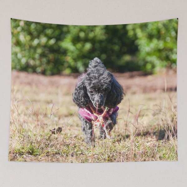 Item preview, The Wok and Barking designed and sold by KensLensDesigns.