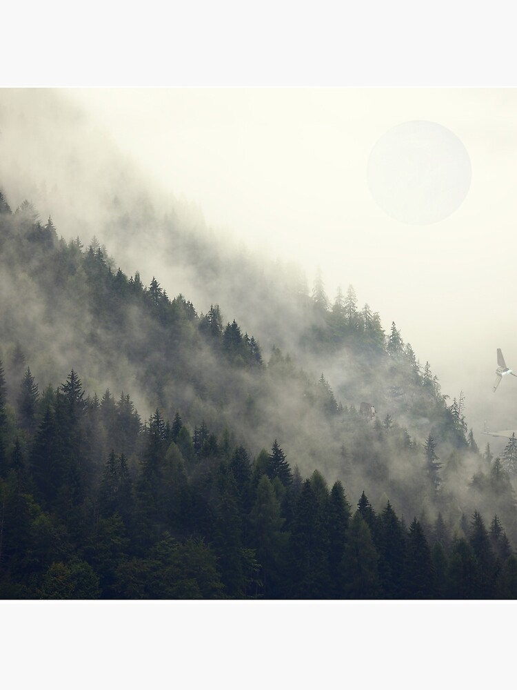 Forest Moon by andywynn