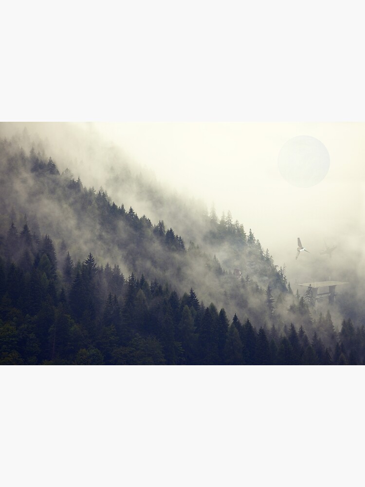 Forest Moon by andywynn