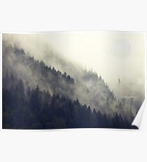Forest Moon Poster