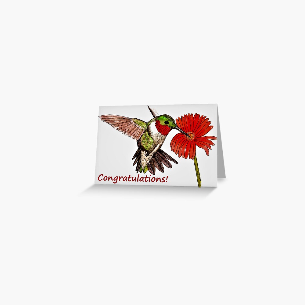Humming Bird Congratulations Card Greeting Card