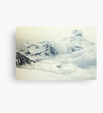 Frozen planet Metal Print