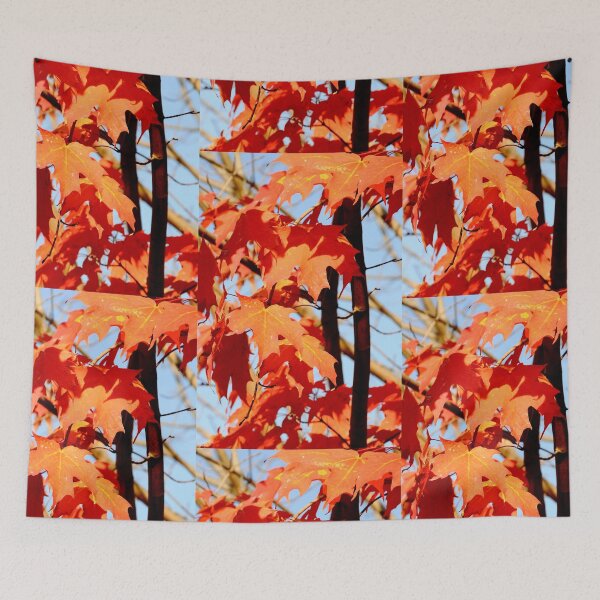 Item preview, Maple Leaves in Full Fall Foliage Mode designed and sold by 2CrabbySisters.