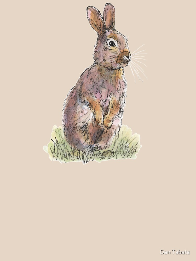 Rabbit by dmtab