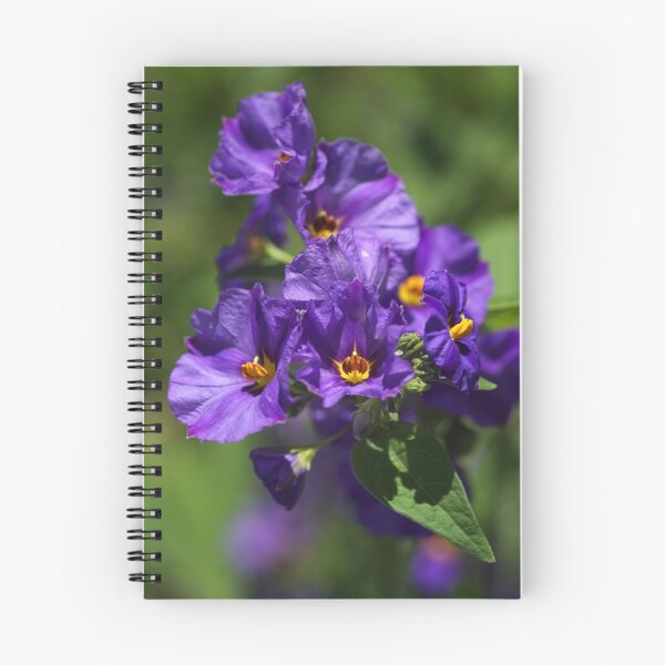 Item preview, Potato Vine designed and sold by Joy Watson - Natural Light Photography .