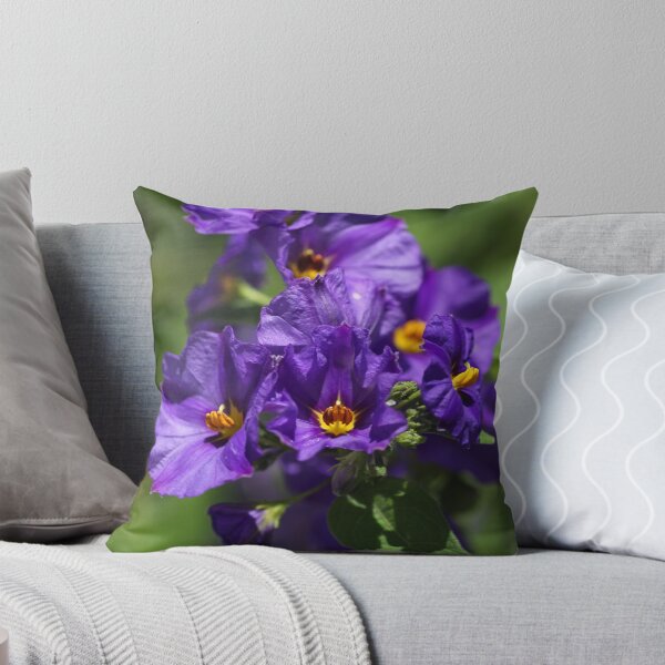Item preview, Potato Vine designed and sold by Joy Watson - Natural Light Photography .