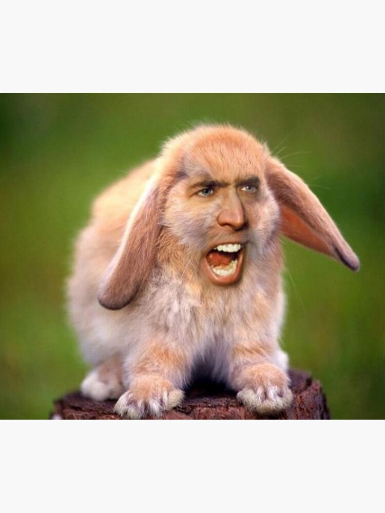 Nicolas Bunny by jamescsociety