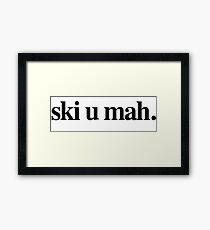 Minnesota Framed Print