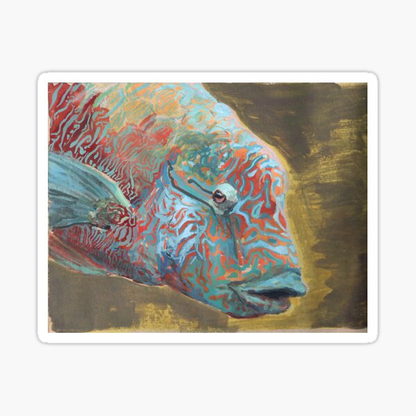 Endangered animal Alphabet - Humphead Wrasse Sticker