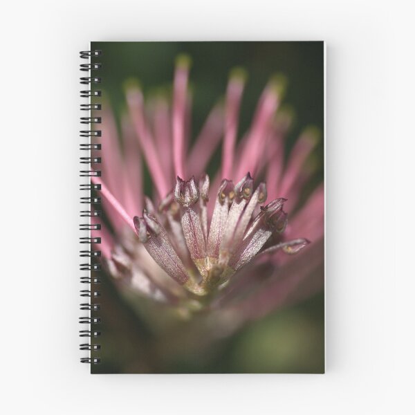 Item preview, Alien or Flower? designed and sold by Joy Watson - Natural Light Photography .