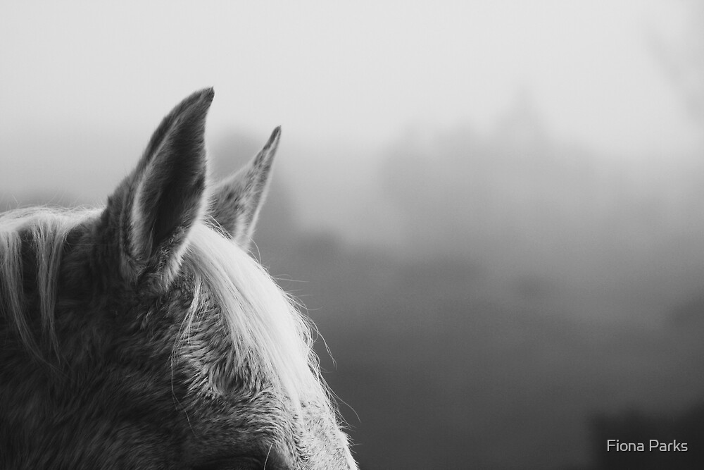 "Horse Ears" by Fiona Parks Redbubble