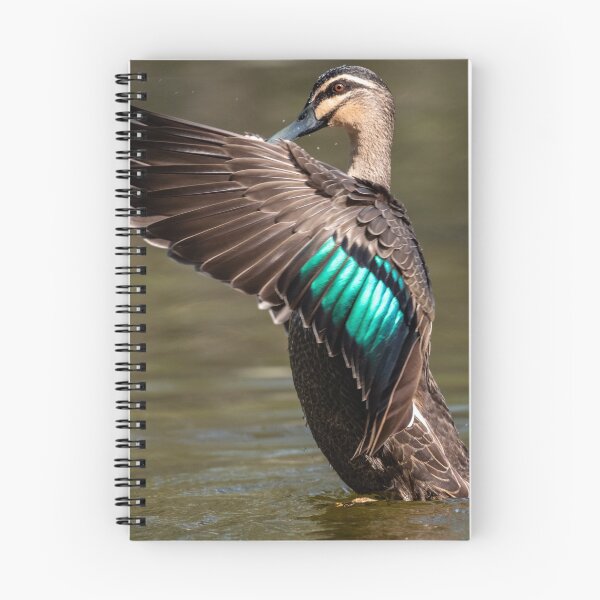 Item preview, Pacific Black Duck designed and sold by Roger  Mackertich.