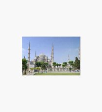 Blue Mosque, Istanbul, Turkey Art Board