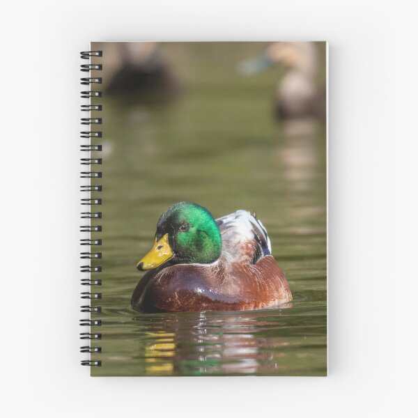 Item preview, Northern Mallard designed and sold by Roger  Mackertich.