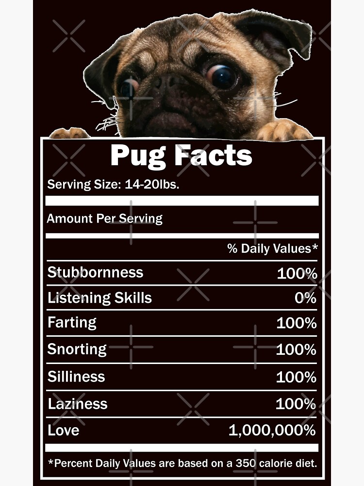Pug Facts by darklordpug