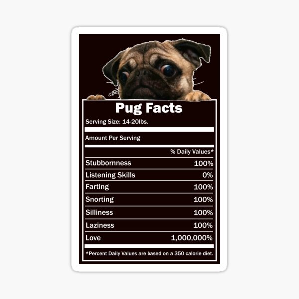 Pug Facts Sticker
