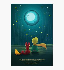 The Little Prince Photographic Print