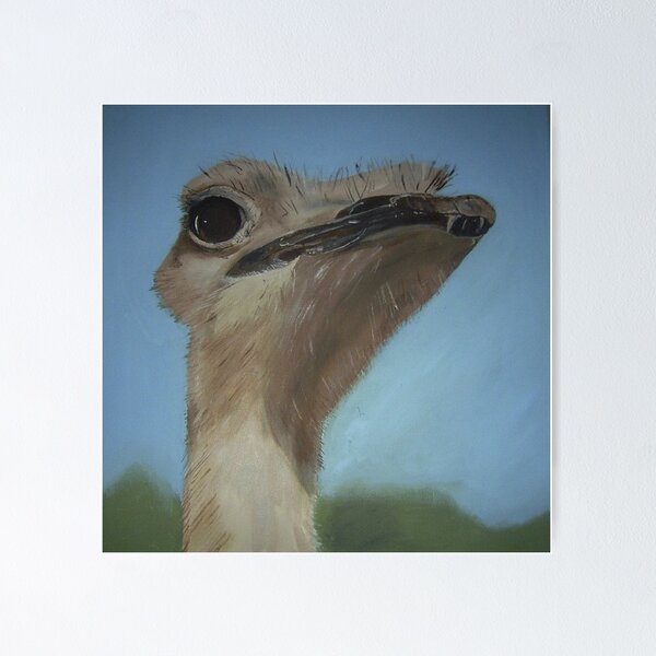 Artikelvorschau, "Ostrich" entworfen und verkauft von Caroline Everett.