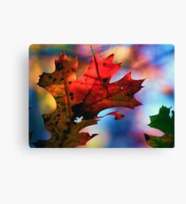 coat of arms Canvas Print