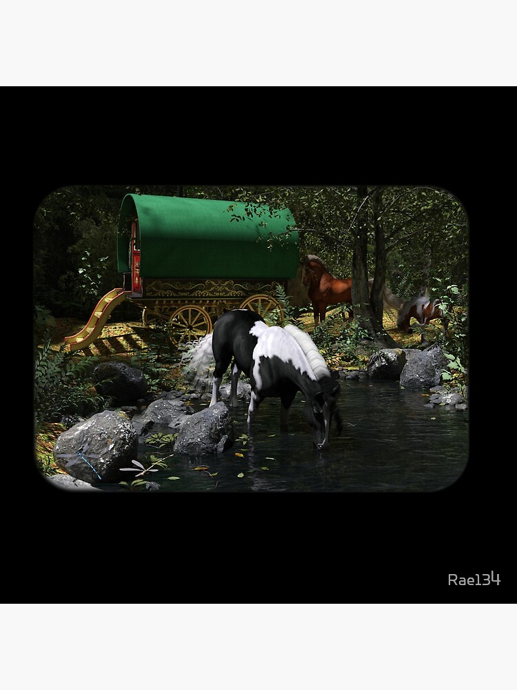 Gypsy Cob Forest by Rae134