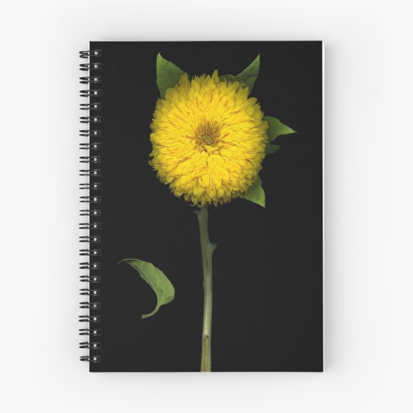 Item preview, Sunflower designed and sold by scankunst.
