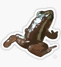 Santa Isabel Froglet Sticker