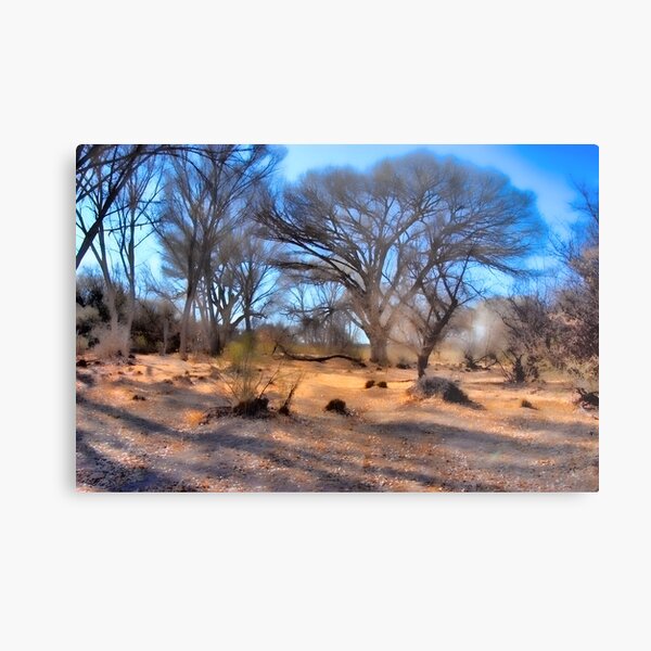 RiverBottom 3 Metal Print