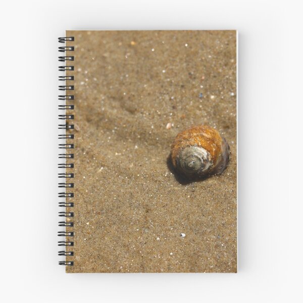 Item preview, Shell Beach #1 designed and sold by Aileen David.