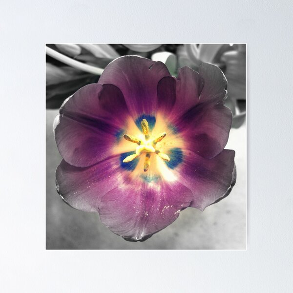Item preview, Primavera en el corazon designed and sold by PiscesAngel17.
