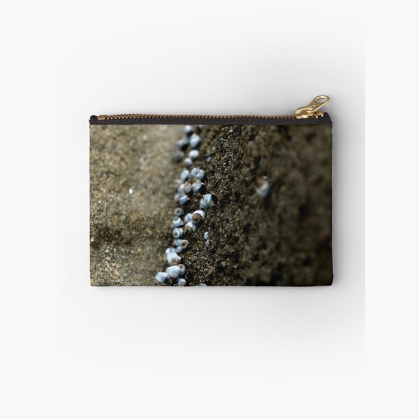 Item preview, Little Sapphires  designed and sold by Aileen David.