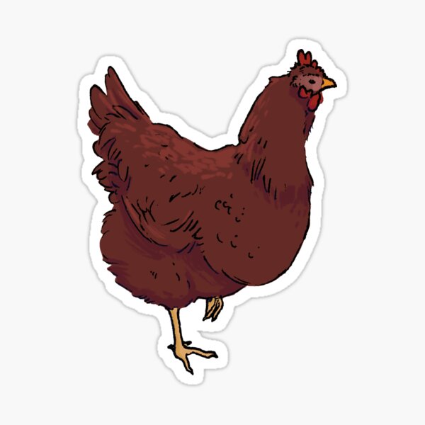Rhode Island Red Chicken Sticker